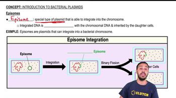 Episomes