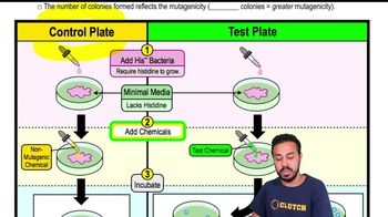 The Ames Test