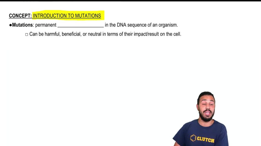 Introduction to Mutations