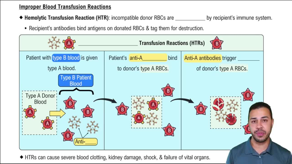 Improper Blood Transfusion Reactions