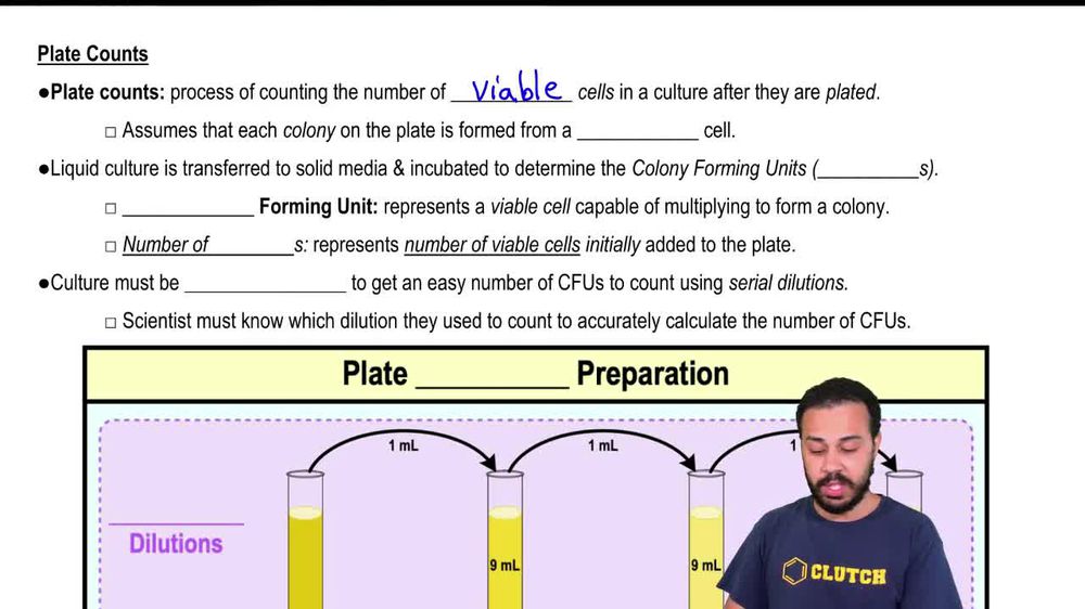Measuring Growth by Plate Counts