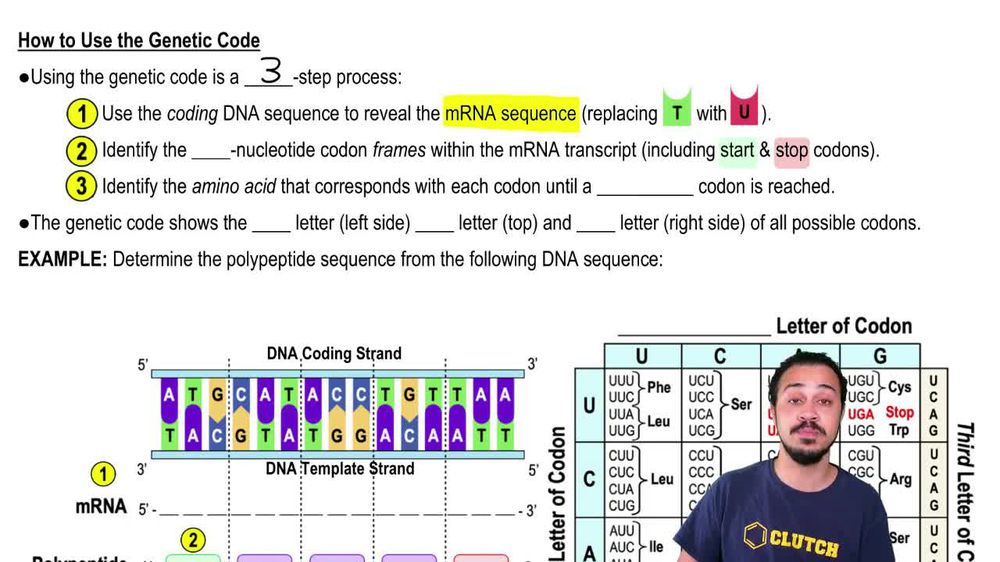 How to Use the Genetic Code