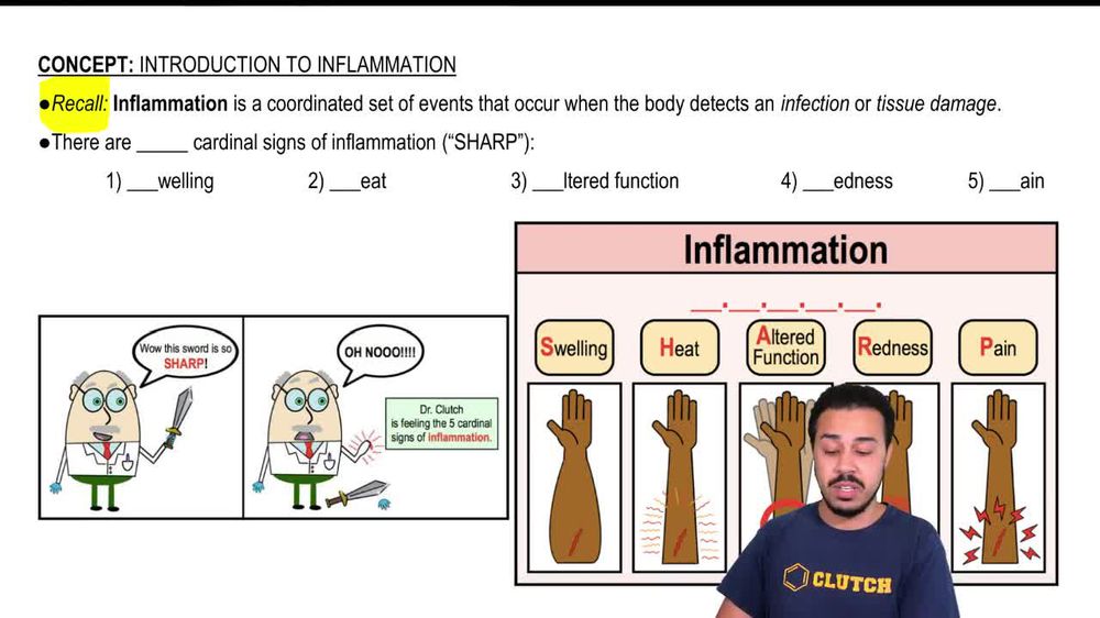 Introduction to Inflammation
