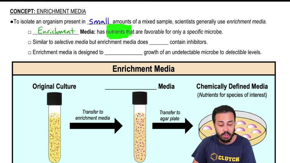 Enrichment Media