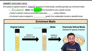 Enrichment Media