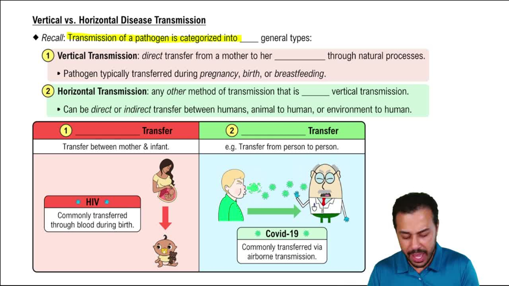 Vertical vs. Horizontal Disease Transmission