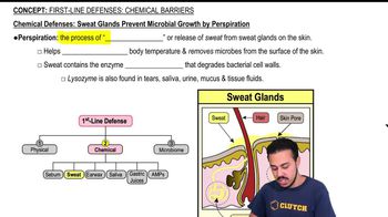 Chemical Defenses: Sweat Glands Prevent Microbial Growth by Perspiration