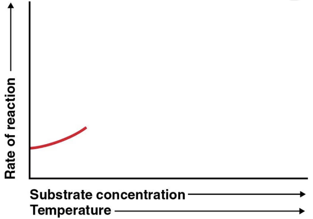 Graph showing rate of reaction increasing with substrate concentration and temperature at constant enzyme level.
