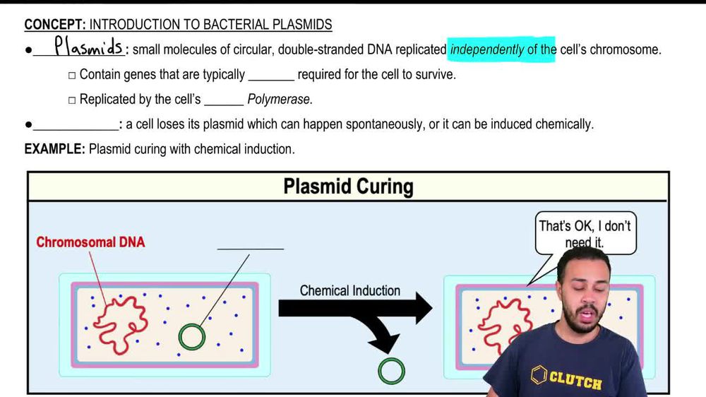 Introduction to Bacterial Plasmids
