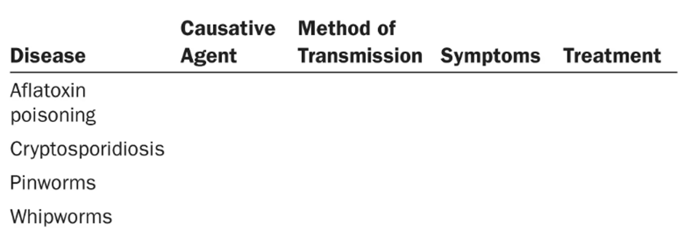 Blank table with columns for disease, causative agent, transmission method, symptoms, and treatment, listing four diseases.