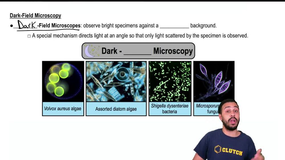 Dark-Field Microscopy