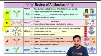 Review Table of Immunoglobin Classes