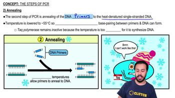 2) Annealing