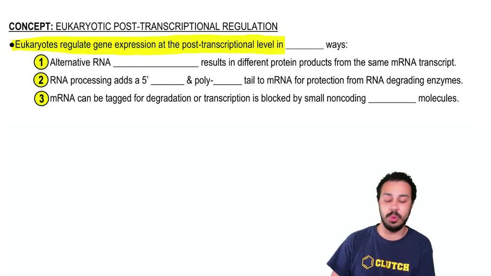 Eukaryotic Post-Transcriptional Regulation