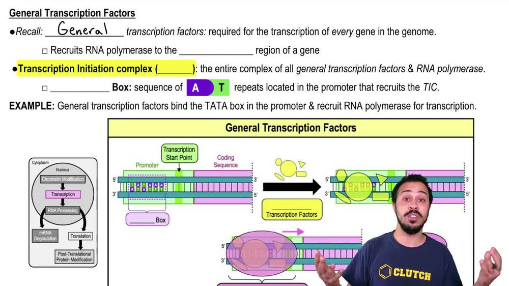 Eukaryotic Transcriptional Control
