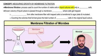 Measuring Growth by Membrane Filtration