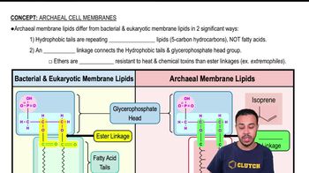 Archaeal Cell Membranes