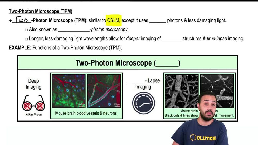 Two-Photon Microscope (TPM)
