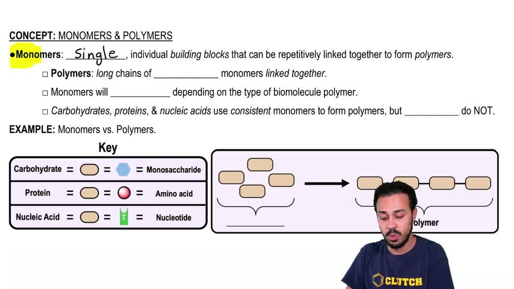 Monomers & Polymers