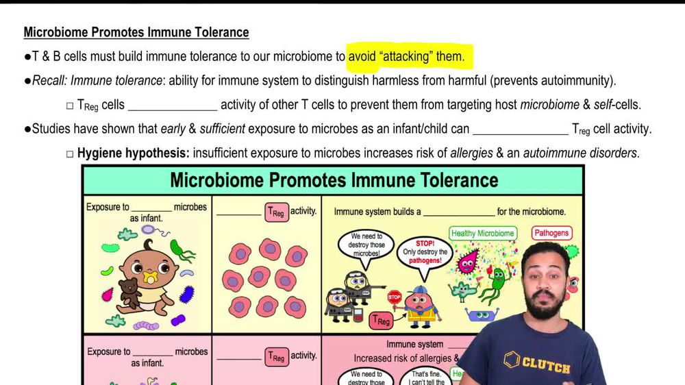 Microbiome Promotes Immune Tolerance