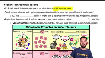 Microbiome Promotes Immune Tolerance