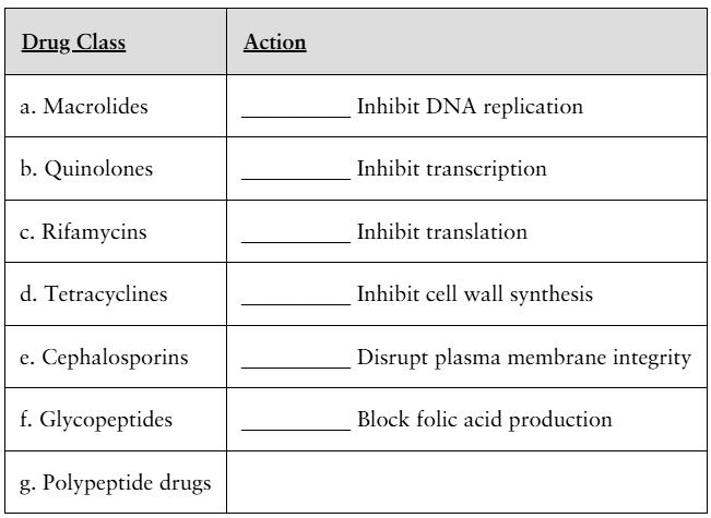 Table listing antimicrobial drug classes with blank lines to match each to their specific action against microbes.