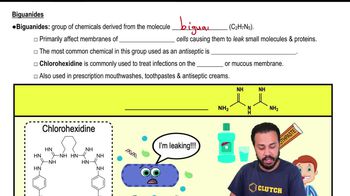Biguanides