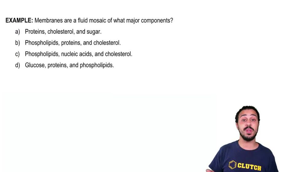 Cell Envelope & Biological Membranes Example 1