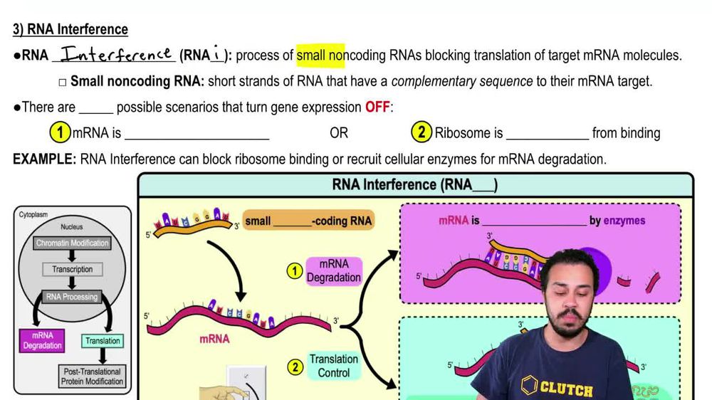 Eukaryotic Post-Transcriptional Regulation