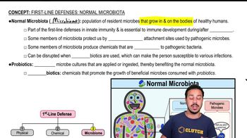 Normal Microflora