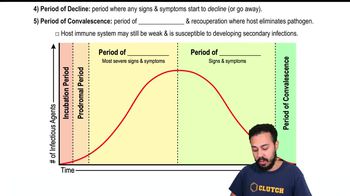 Stages of Infectious Disease Progression