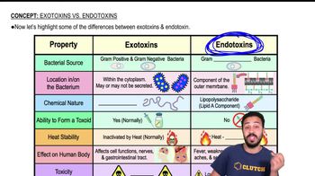 Exotoxins vs. Endotoxin Review
