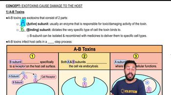 1) A-B Toxins