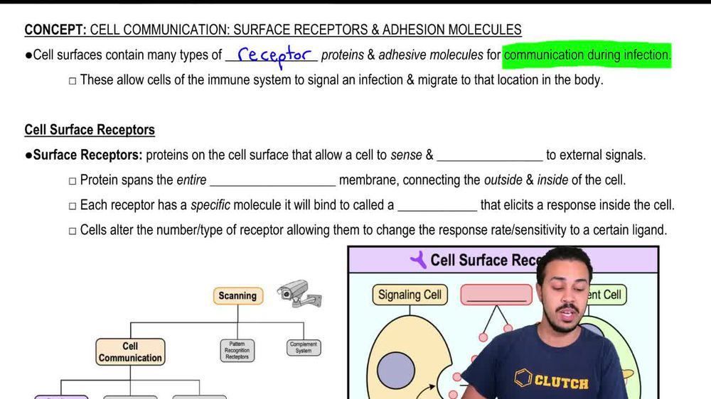 Cell Surface Receptors
