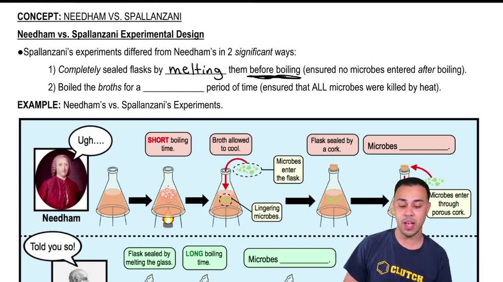 Needham vs. Spallanzani Experimental Design