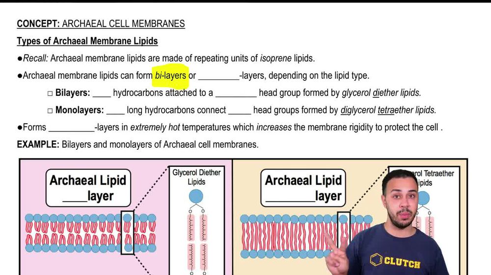 Types of Archaeal Membrane Lipids