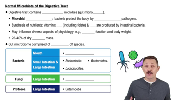 Normal Microbiota of the Digestive Tract