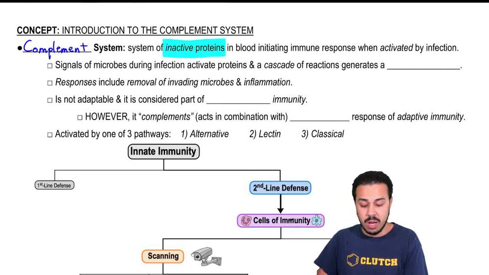 Introduction to the Complement System