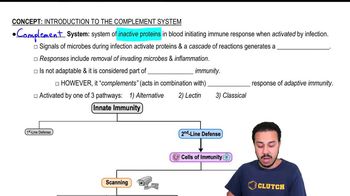Introduction to the Complement System