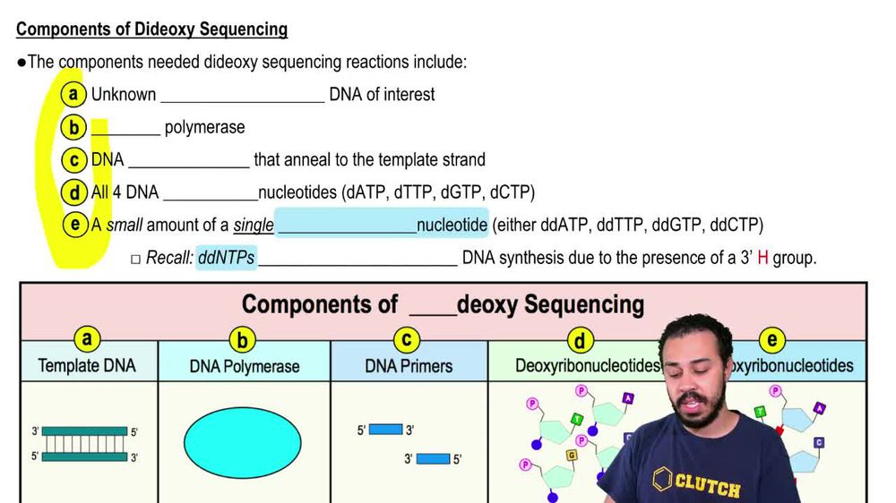 Components of Dideoxy Sequencing