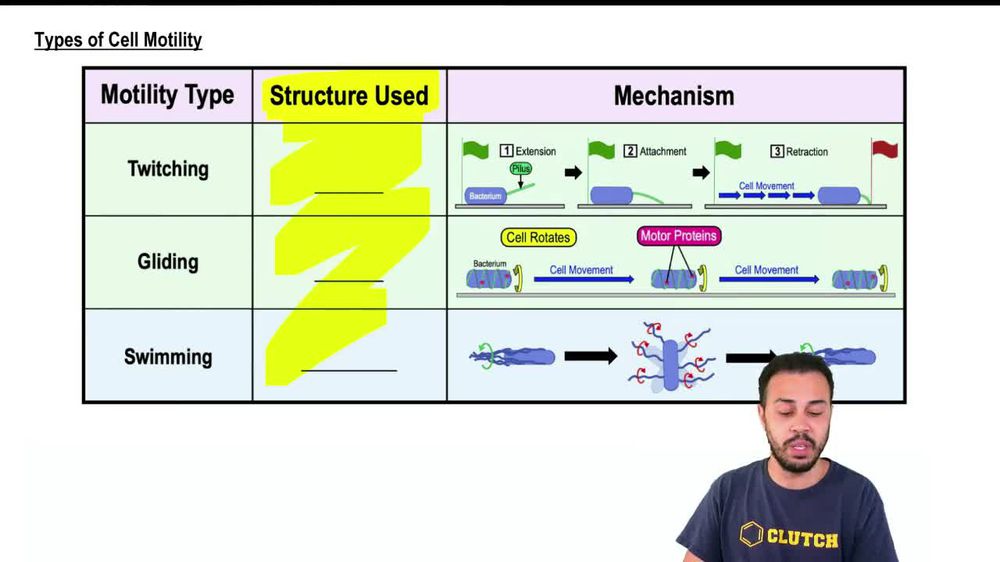 Types of Cell Motility