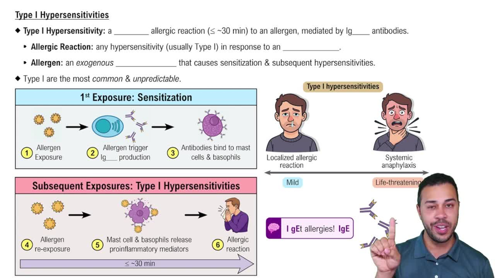 Type I Hypersensitivity