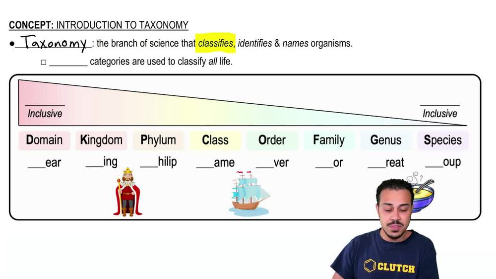 Introduction to Taxonomy