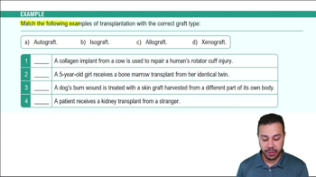 Transplantation Example 1