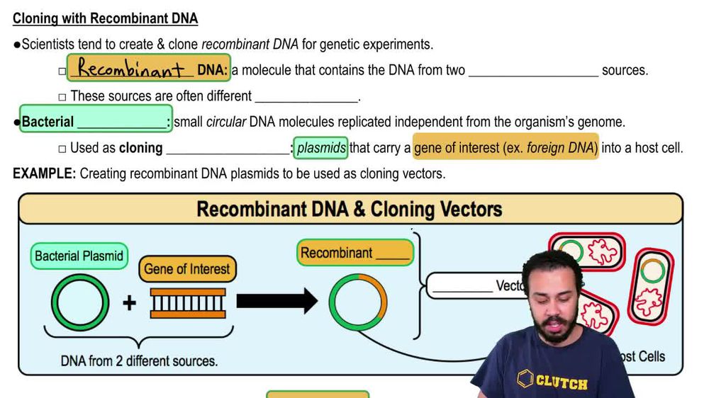 Cloning with Recombinant DNA