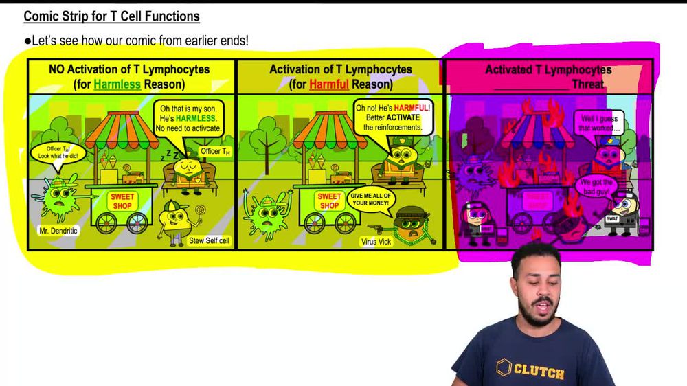 Comic Strip for T Cell Functions