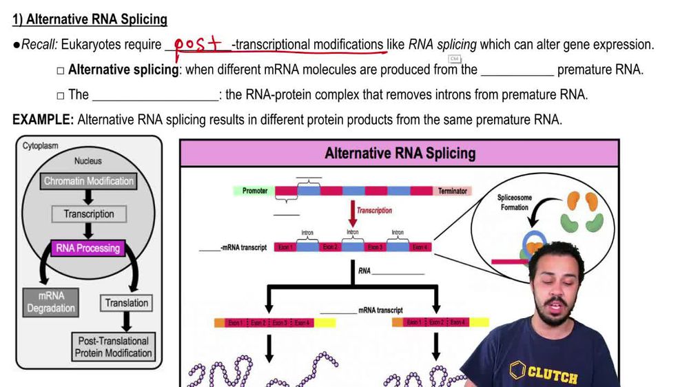 Eukaryotic Post-Transcriptional Regulation