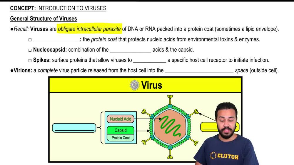 General Structure of Viruses