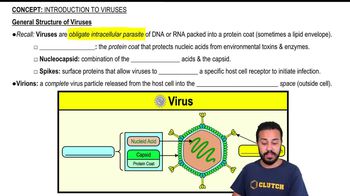General Structure of Viruses