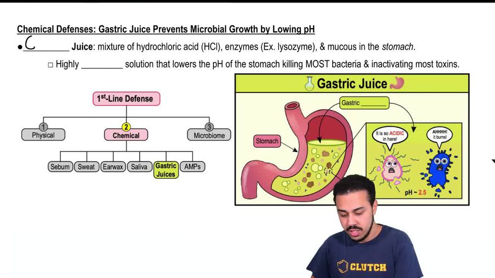 Chemical Defenses: Gastric Juice Prevents Microbial Growth by Lowing pH
